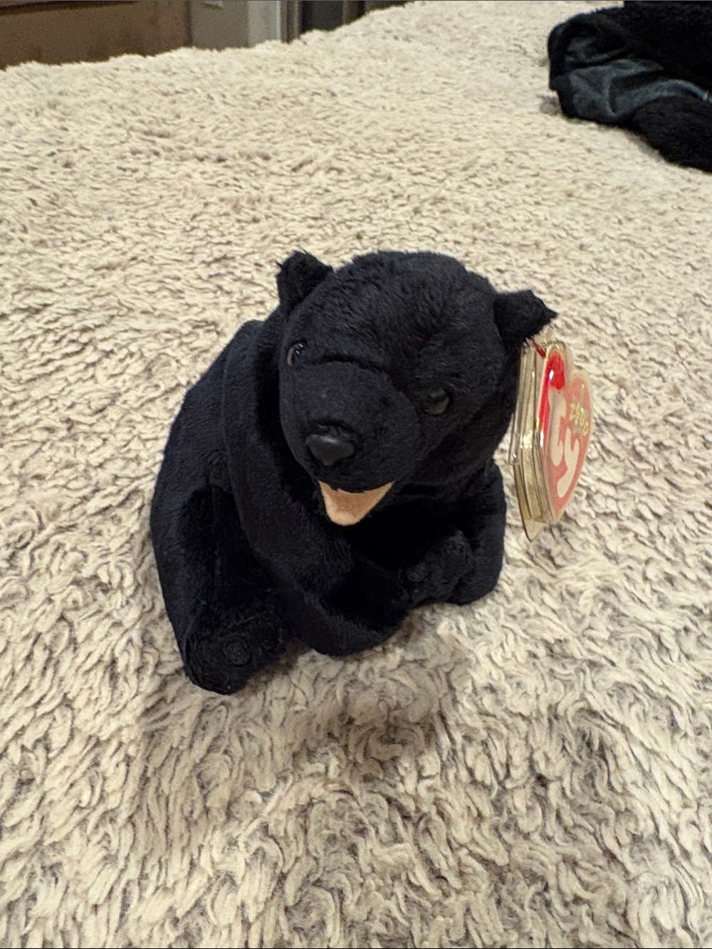 Ty Black Bear Beanie Baby Plush Cinders with Tan Snout